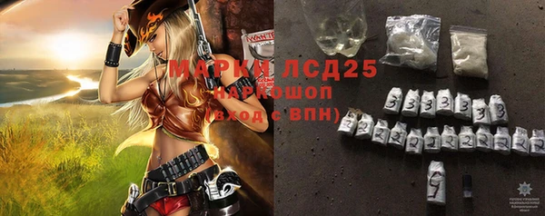 ГАЛЛЮЦИНОГЕННЫЕ ГРИБЫ Алексин