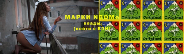 крисы Алзамай