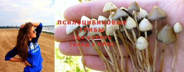 ГАЛЛЮЦИНОГЕННЫЕ ГРИБЫ Алексин