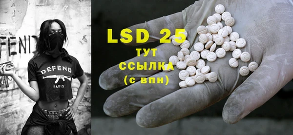 ГАЛЛЮЦИНОГЕННЫЕ ГРИБЫ Алексин