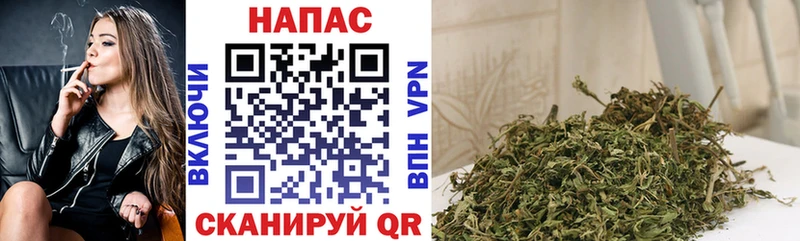 дарк нет телеграм  Рошаль  МАРИХУАНА план 